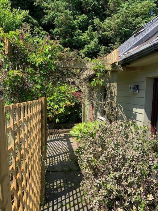 The Bird House - Coastal Lodge In Lovely Forest Setting Nr. Kinsale Cork Esterno foto